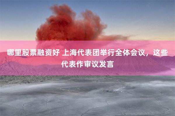 哪里股票融资好 上海代表团举行全体会议，这些代表作审议发言