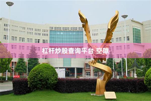 杠杆炒股查询平台 空隙