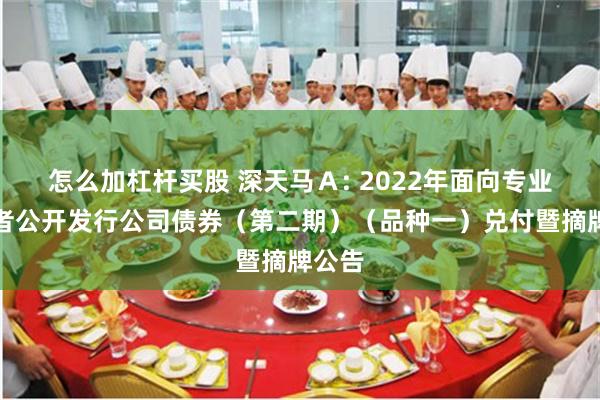 怎么加杠杆买股 深天马Ａ: 2022年面向专业投资者公开发行公司债券（第二期）（品种一）兑付暨摘牌公告