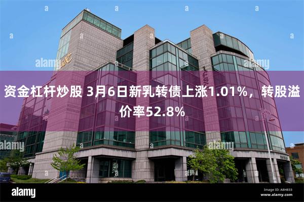 资金杠杆炒股 3月6日新乳转债上涨1.01%，转股溢价率52.8%