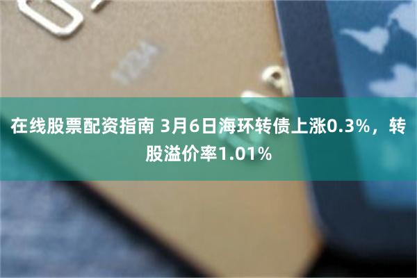 在线股票配资指南 3月6日海环转债上涨0.3%，转股溢价率1.01%