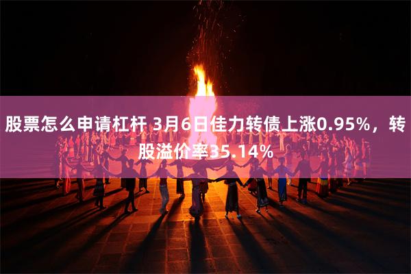 股票怎么申请杠杆 3月6日佳力转债上涨0.95%，转股溢价率35.14%