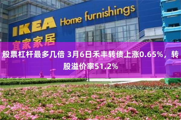 股票杠杆最多几倍 3月6日禾丰转债上涨0.65%，转股溢价率51.2%