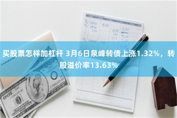 买股票怎样加杠杆 3月6日泉峰转债上涨1.32%，转股溢价率13.63%
