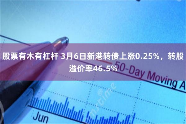 股票有木有杠杆 3月6日新港转债上涨0.25%，转股溢价率46.5%