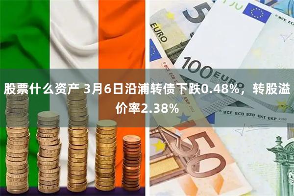 股票什么资产 3月6日沿浦转债下跌0.48%，转股溢价率2.38%