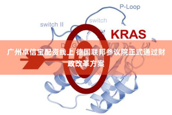 广州卓信宝配资线上 德国联邦参议院正式通过财政改革方案