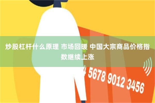 炒股杠杆什么原理 市场回暖 中国大宗商品价格指数继续上涨