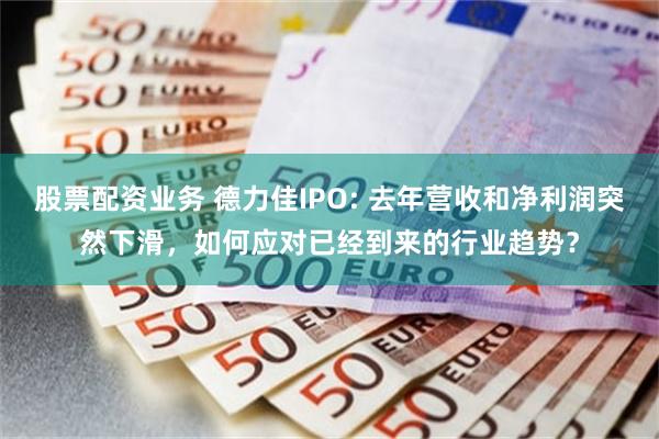 股票配资业务 德力佳IPO: 去年营收和净利润突然下滑，如何应对已经到来的行业趋势？