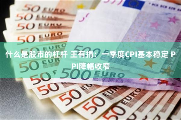 什么是股市的杠杆 王有捐：一季度CPI基本稳定 PPI降幅收窄