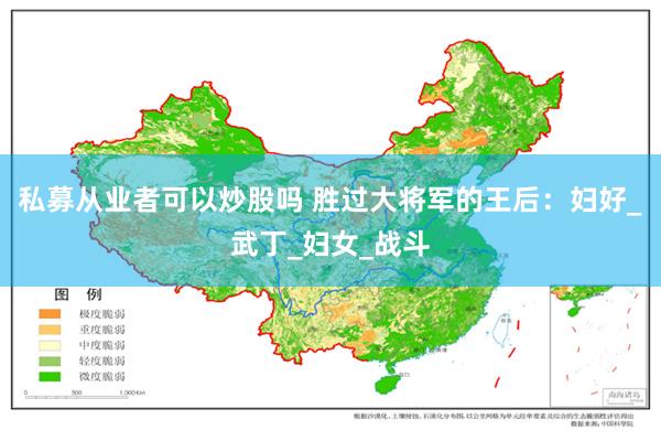 私募从业者可以炒股吗 胜过大将军的王后：妇好_武丁_妇女_战斗