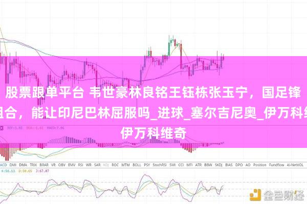股票跟单平台 韦世豪林良铭王钰栋张玉宁，国足锋线组合，能让印尼巴林屈服吗_进球_塞尔吉尼奥_伊万科维奇