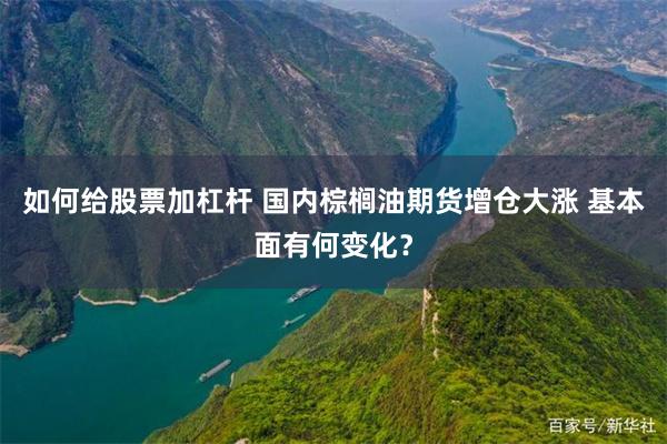 如何给股票加杠杆 国内棕榈油期货增仓大涨 基本面有何变化？