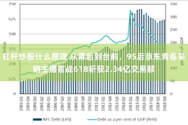 杠杆炒股什么原理 从幕后到台前，95后京东青春采销主播首战618斩获2.34亿交易额