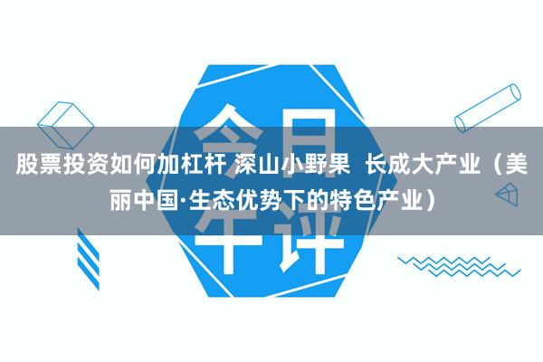 股票投资如何加杠杆 深山小野果  长成大产业（美丽中国·生态优势下的特色产业）
