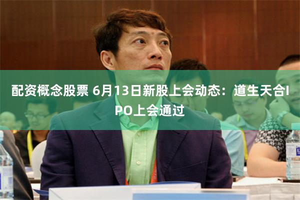 配资概念股票 6月13日新股上会动态：道生天合IPO上会通过
