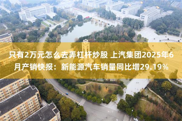 只有2万元怎么去弄杠杆炒股 上汽集团2025年6月产销快报：新能源汽车销量同比增29.19%