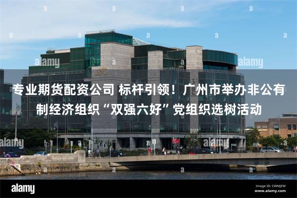 专业期货配资公司 标杆引领！广州市举办非公有制经济组织“双强六好”党组织选树活动