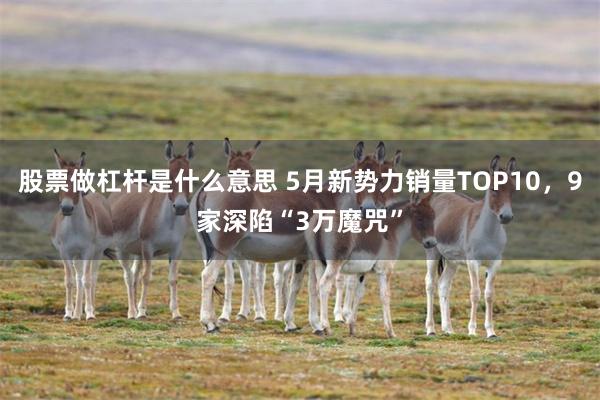 股票做杠杆是什么意思 5月新势力销量TOP10,9家深陷“3万魔咒”