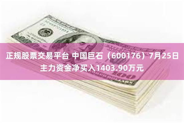 正规股票交易平台 中国巨石(600176)7月25日主力资金净买入1403.90万元