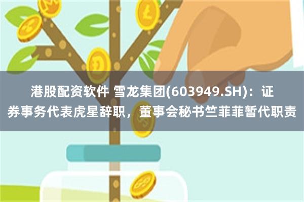 港股配资软件 雪龙集团(603949.SH)：证券事务代表虎星辞职，董事会秘书竺菲菲暂代职责