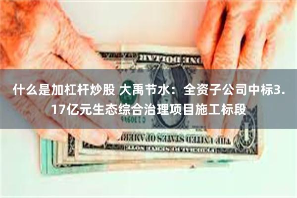 什么是加杠杆炒股 大禹节水：全资子公司中标3.17亿元生态综合治理项目施工标段
