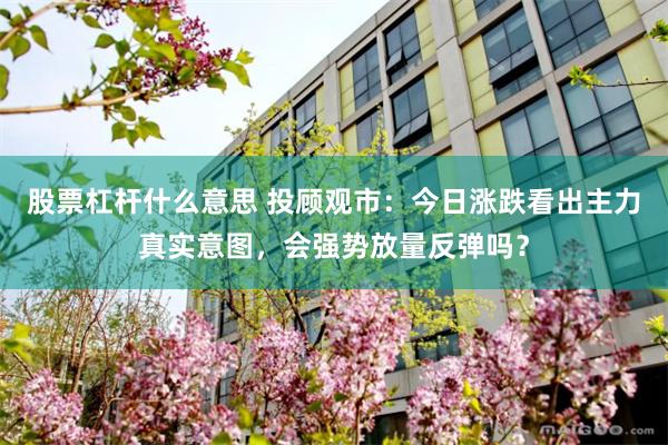 股票杠杆什么意思 投顾观市：今日涨跌看出主力真实意图，会强势放量反弹吗？