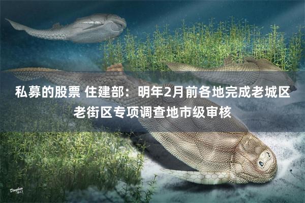私募的股票 住建部：明年2月前各地完成老城区老街区专项调查地市级审核