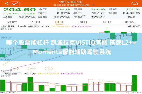 哪个股票能杠杆 凯迪拉克VISTIQ官图 搭载L2++ Momenta智能辅助驾驶系统
