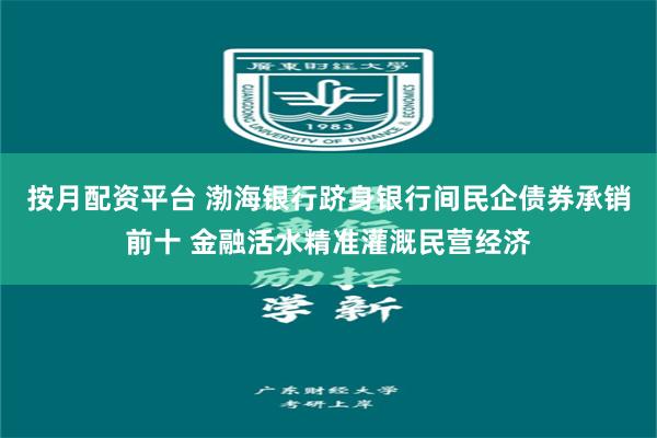 按月配资平台 渤海银行跻身银行间民企债券承销前十 金融活水精准灌溉民营经济