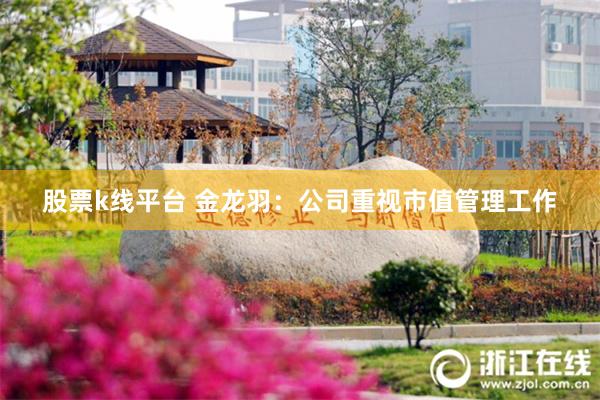 股票k线平台 金龙羽：公司重视市值管理工作