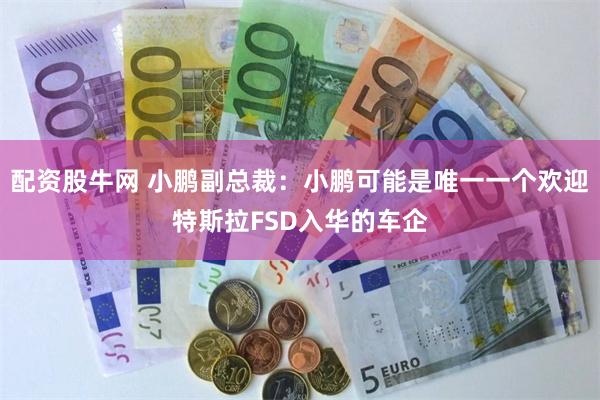 配资股牛网 小鹏副总裁：小鹏可能是唯一一个欢迎特斯拉FSD入华的车企