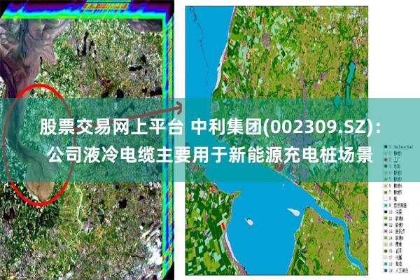 股票交易网上平台 中利集团(002309.SZ)：公司液冷电缆主要用于新能源充电桩场景